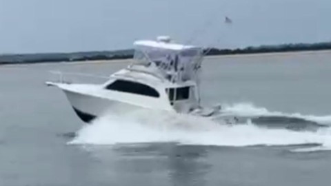 Egg harbor 37 convertible