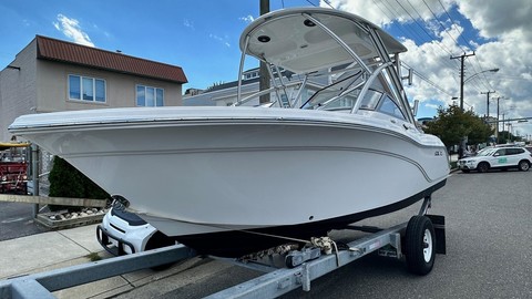 Sea Fox 226 Traveler