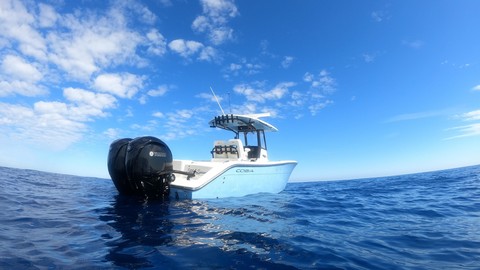 Cobia 217 center console
