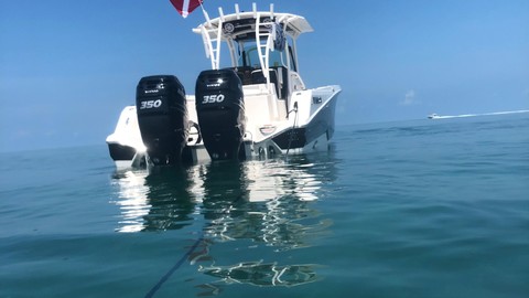 Wellcraft 302 Fisherman