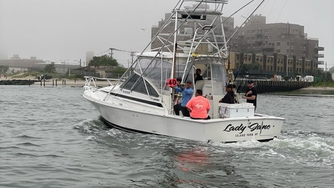 Blackfin 29 combi