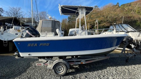 Angler Pro Boats 2900 center console