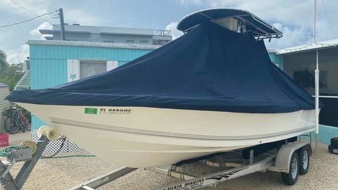 Sea Ray pro 208 bay