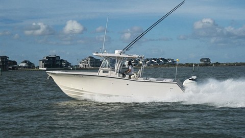 Grady white 306 bimini cc