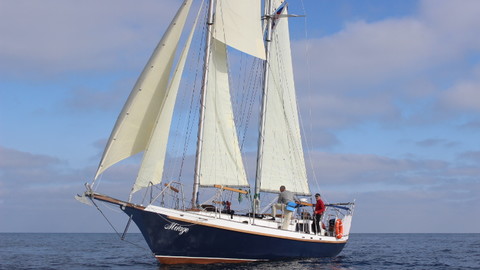 Dudley Dix Yacht Design Hout Bay 40