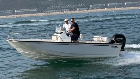Boston Whaler 190 Montauk