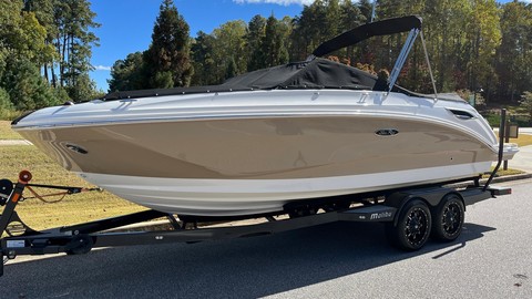 Sea Ray 250 SDX