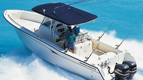 Grady white 306 bimini cc