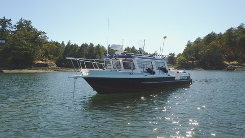 KingFisher 3025 Offshore