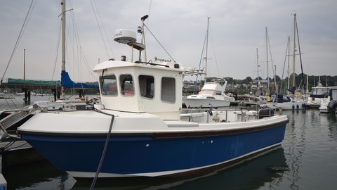 Cygnus cyclone 30 patrol