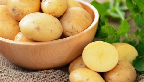 Beneteau Antares 7 OB