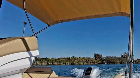 Salpa Gran Soleil 23