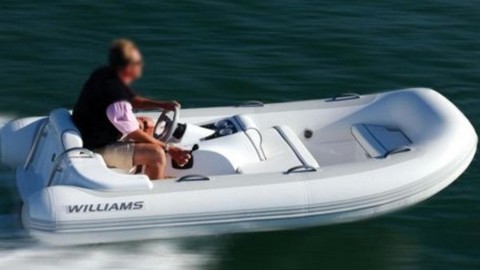 Williams Turbojet 325