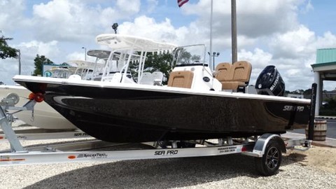 Sea Ray pro 208 bay