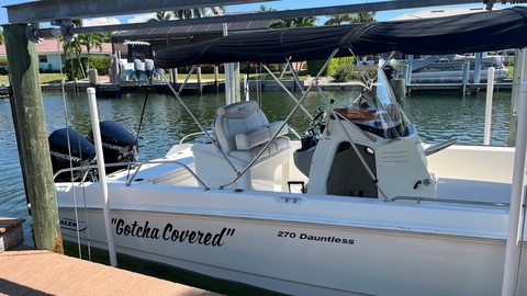 Boston Whaler 270 Dauntless