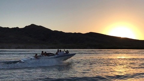 Eliminator 230 eagle