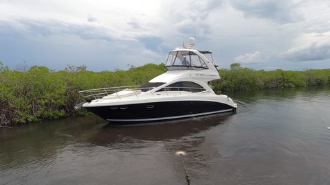 Sea ray sedan bridge