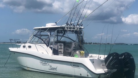 Boston Whaler 305 Conquest