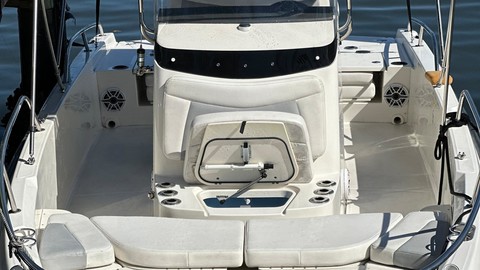 Boston Whaler 210 Dauntless