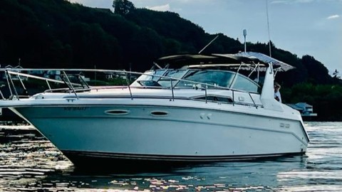 Sea Ray 350 Sundancer