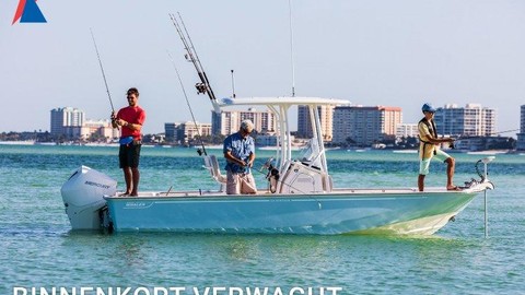 Boston Whaler 210 Montauk