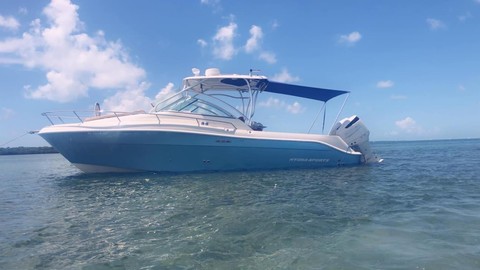 Hydra-sports 2800 vector wa