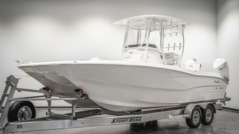 Sea Ray cat 26