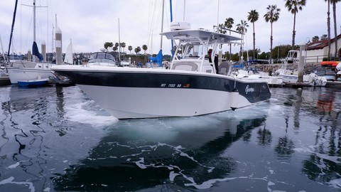 288 Sea Fox Commander