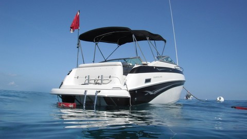 Crownline 235 CCR