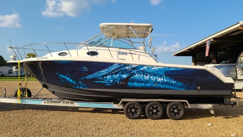 Wellcraft 290 Coastal