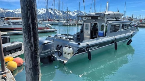 KingFisher 3025 Offshore