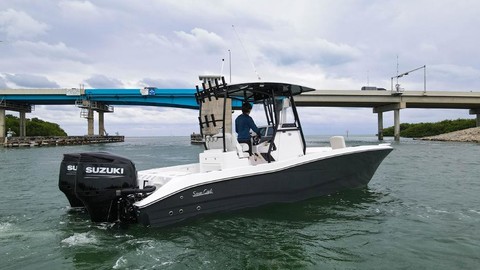 Sea Ray cat 26