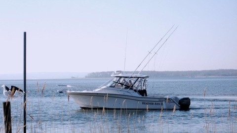 Grady-White Express 330