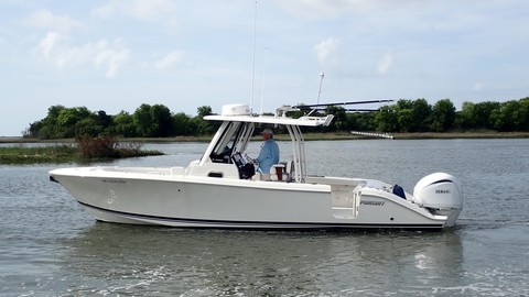 Pursuit st 310 sport