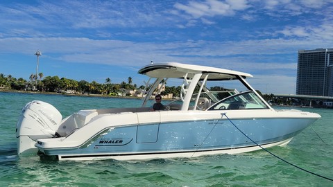 Boston Whaler 320 Vantage