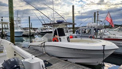 Hydra-sports 2800 vector wa