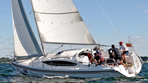 Northman Maxus 33.1 RS