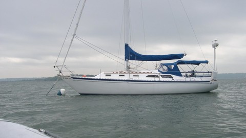 Steeler Bronson 36 Islander