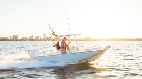 Boston Whaler 210 Montauk