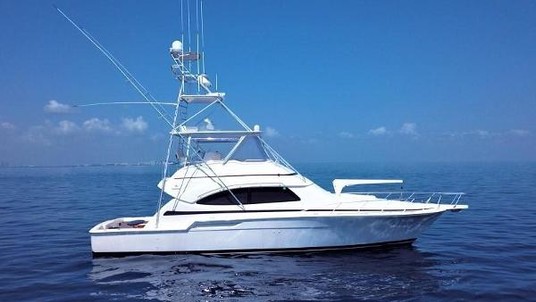 Bertram 510 Convertible