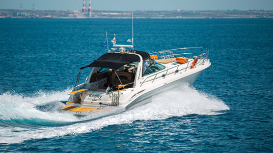 Sea Ray 455