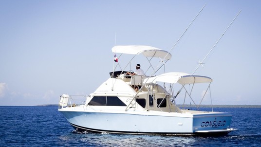 Bertram 28 Flybridge