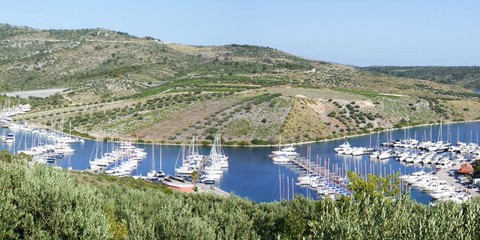 Alena 52