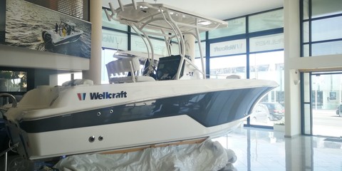 Wellcraft 222 Fisherman