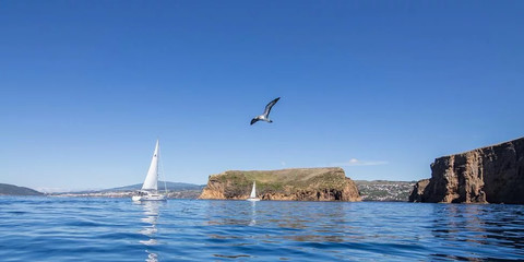 Bavaria 37 Cruiser
