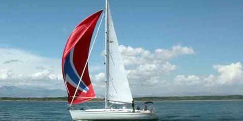 Bavaria 44