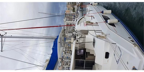 Leopard 44