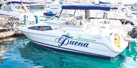 Bayliner 265 SB