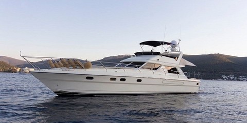 Princess 55