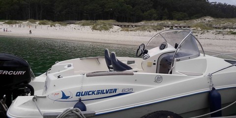 Quicksilver 635